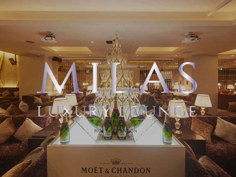 Luxury Lounge ラグジュアリーラウンジグループ 渋谷 出会いを楽しむ相席ラウンジ Luxury Lounge Milas ミラス 渋谷 スタンディングバー Luxury Stand Milas ミラス 渋谷など洗練された東京都内のラグジュアリー空間での出会いと交流を提案